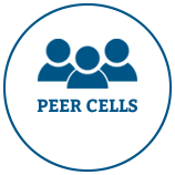 Peer-Cells.png