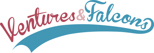 VnF_Logo_500.png