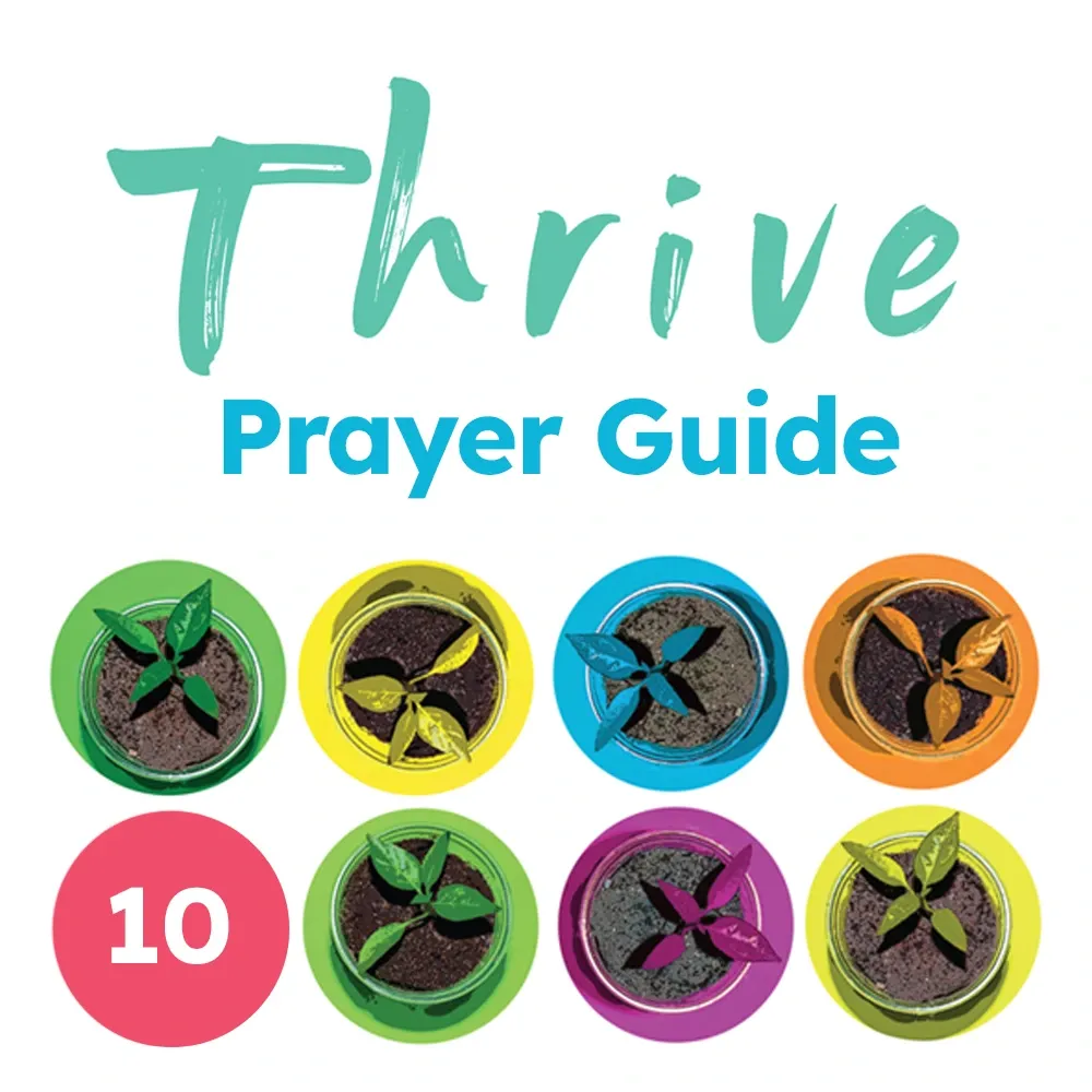 Thrive Prayer Guide (Pack of 10)