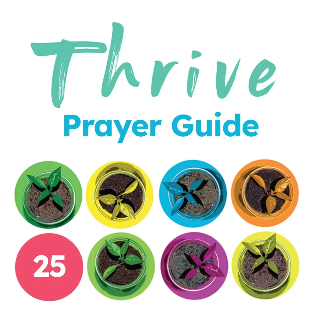 Thrive Prayer Guide (Pack of 25)