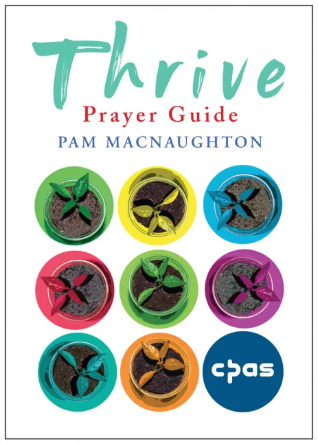 Thrive Prayer Guide (Pack of 50)